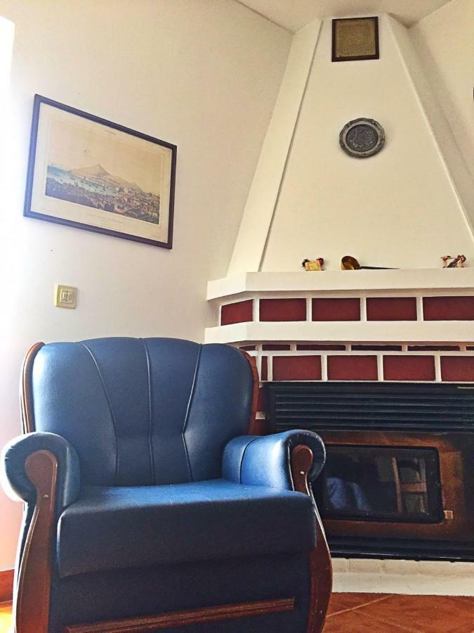 A Casa Da Avo Leonor Guest House Idanha-a-Nova Ngoại thất bức ảnh